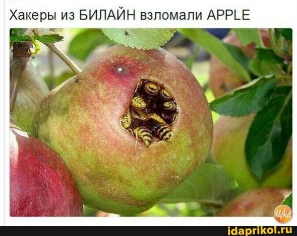 Хакеры из БИЛАЙН взпомапи АРР_Е на
