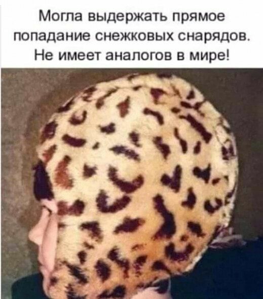 Могла выдержать прямое попадание снежковых снарядов Не имеет аналогов в мире