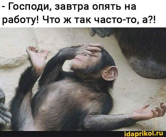 Господи завтра опять на работу Что ж так часто то а