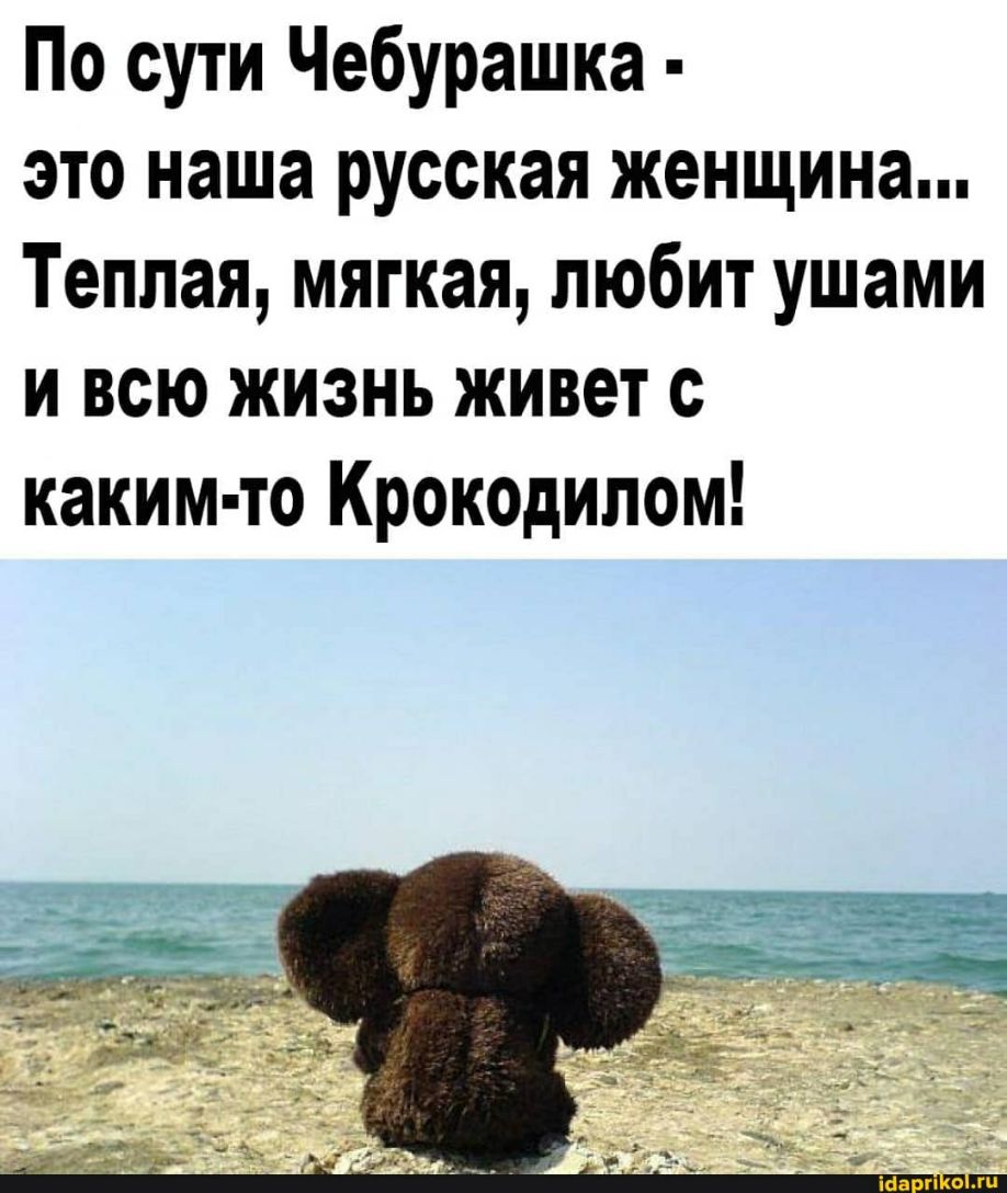 По сути Чебурашка это наша русская женщина Теплая мягкая любит ушами и всю жизнь живет с каким то Крокодипом