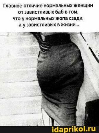 Главное отличие нормальных женщин от завистливых баб в тот чю у нормальных жопа сзади в у зависшивых жизни іаа гПюЬгп