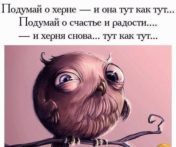 Подумай о херне и она тут как тут Подумай о счастье и радости И херня СНОВд 1у1 как 1У1