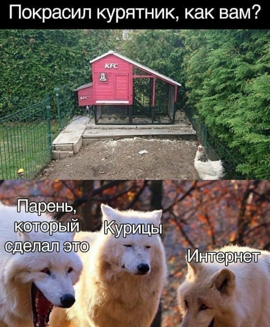 Покрасил курятник как вам