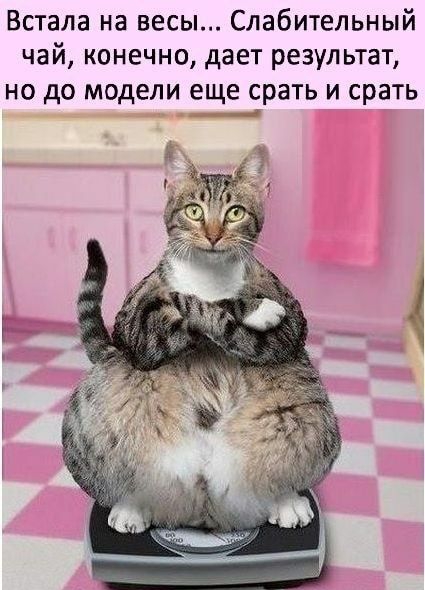Встала на весы Слабительный чай конечно дает результат но до модели еще срать и срать