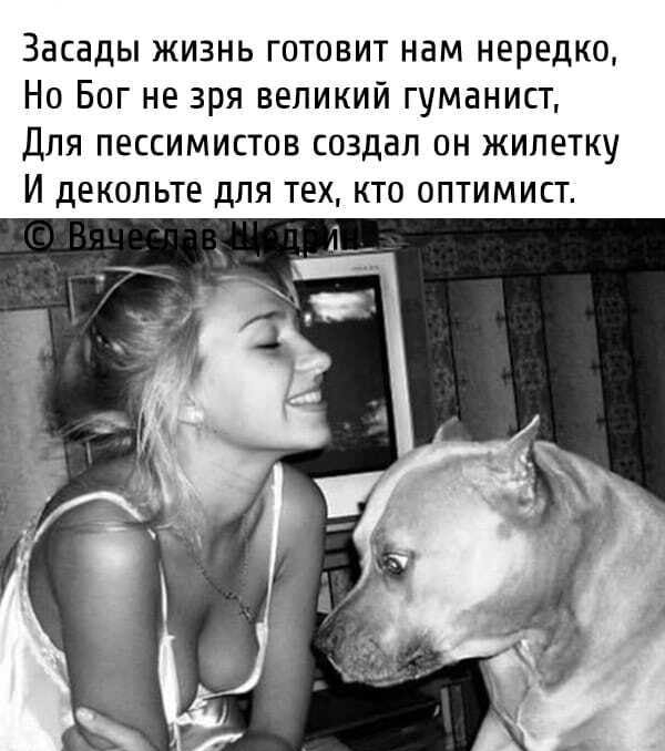 Засады жизнь готовит нам нередко Но Бог не зря великий гуманист Для пессимистов создал он жилетку И декольте для тех кто оптимист