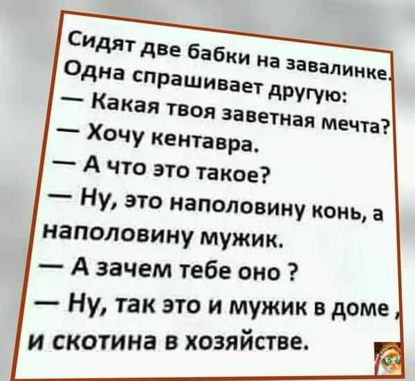 _ ХЧУ кентавра_ _ А ЧТО это такое Ну это наполовину конь а наполовину мужик А зачем тебе оно Ну так это и мужик в доме и скотина в хозяйстве