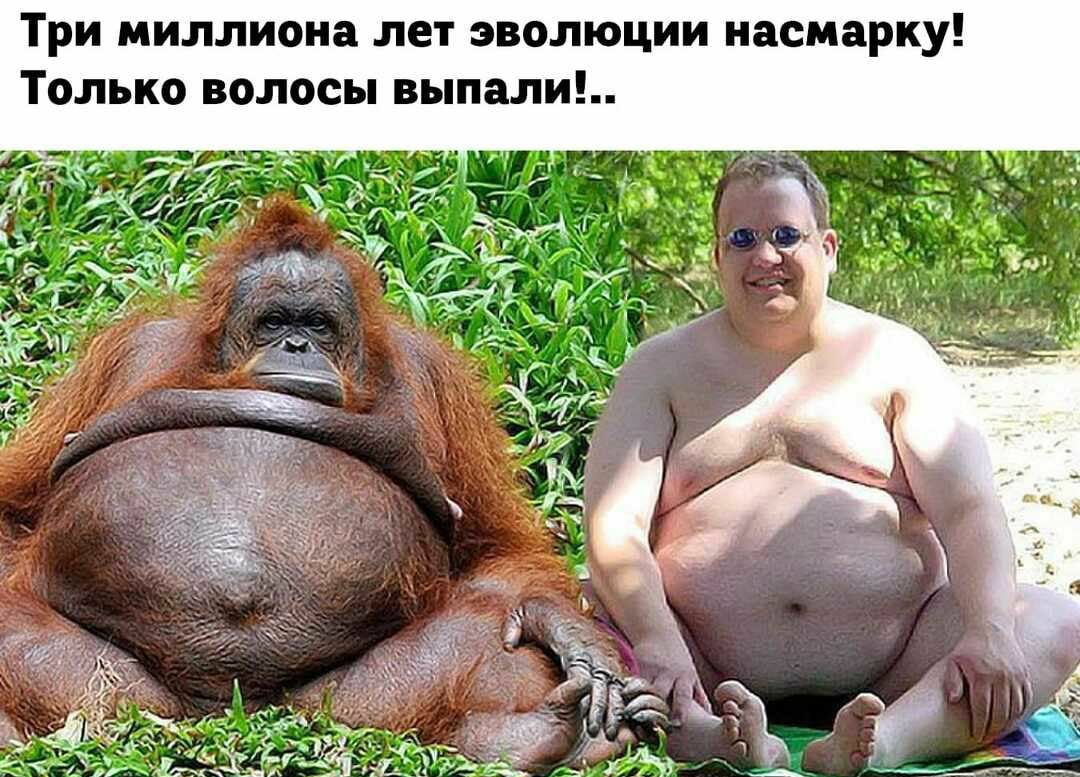 Три миллиона лет эволюции насмарку Только волосы выпали