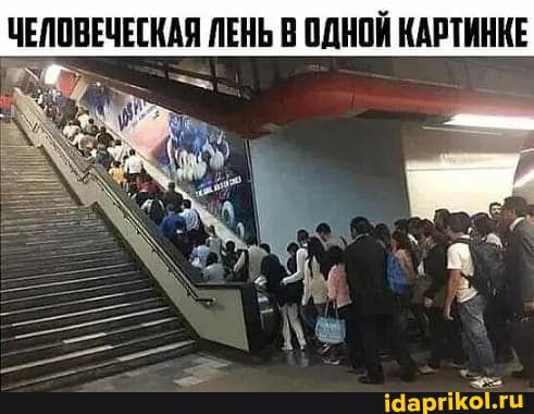 ЧЕЛПВЕЧЕШАП ЛЕНЬ В ПШШЙ КАРТИНКЕ іааргііюі гц