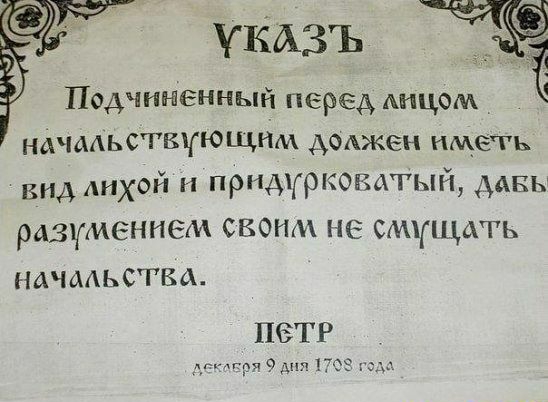 укАзъ ПодтНЕННЫЙ перед Аицом начддьствчющим АОАЖЕН иметь вид Аихой и придурковатый ддвн разуменпем своим не смущать НАЧААЬСТБА П6ГР 7 тз