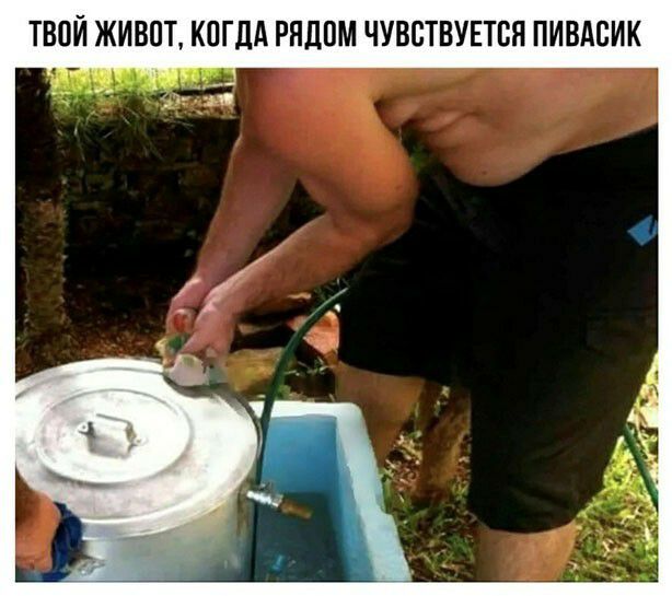 ТВОЙ ЖИВЕТ КПГЛА РЯДОМ ЧУВСТВУЕТБЯ ПИВАВИК