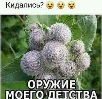 Кидались Ь МОЕГО ЁЕТёзТВА