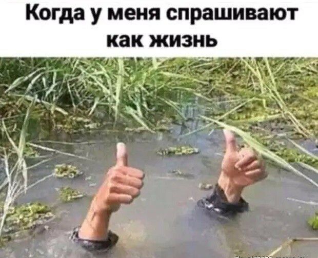 Когда у МЕНЯ СПРЗШИВЗЮТ как КИЗНЬ г