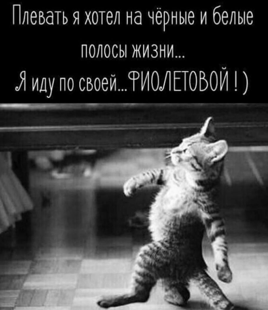 Плевать я хотел на чёрные и белые полосы жизни Я иду по своейИОЛЕТОБОЙ
