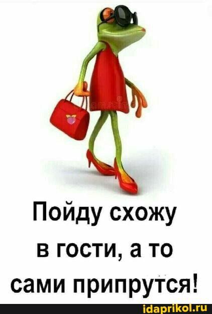 Пойду схожу в гости а то сами припрутся _