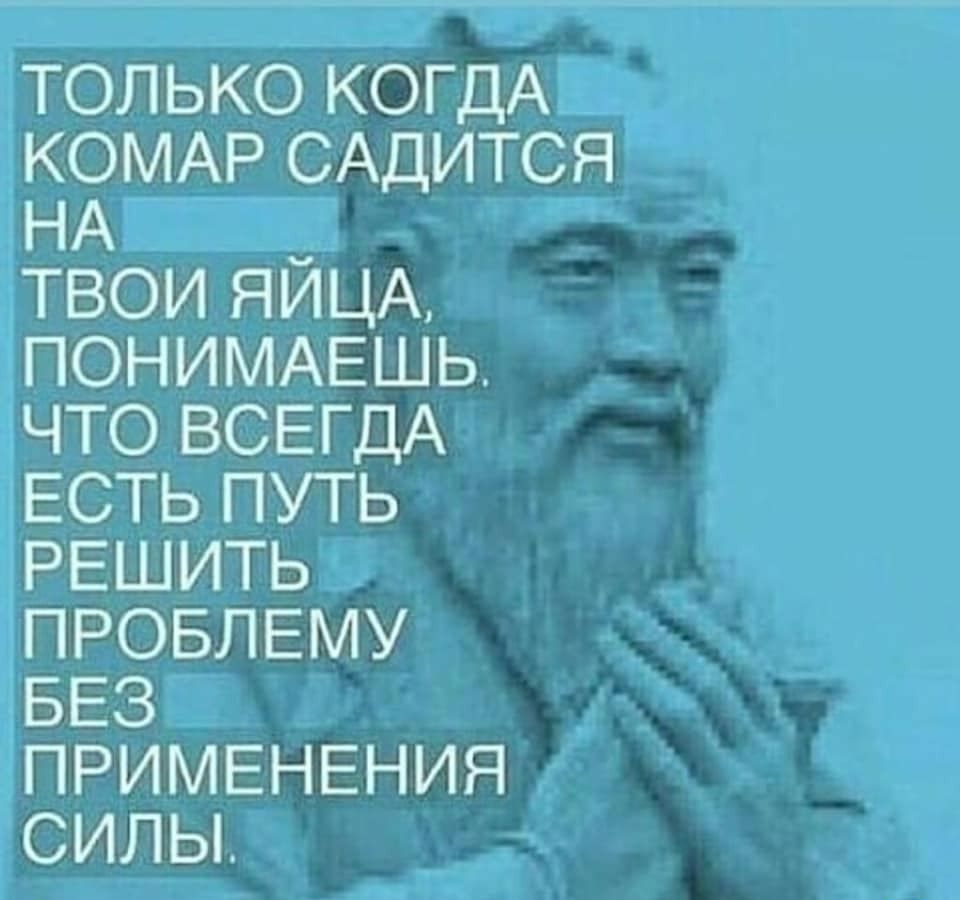 ТОЛЬКО КОГДА КОМАР САДИТСЯ НА ТВОИ ЯИЦА ПОНИМАЕШЬ ЧТО ВСЕГДА ЕСТЬ ПУТЬ РЕШИТЬ ПРОБЛЕМУ БЕЗ ПРИМЕНЕНИЯ СИЛЫ