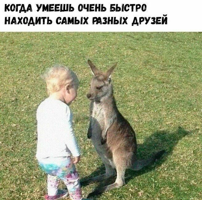 КОГДА УМЕЕШЬ ОЧЕНЬ БЫСТРО _ НАХОАИТЬ САМЫХ ЫЗНЫХ АРУЗЕИ