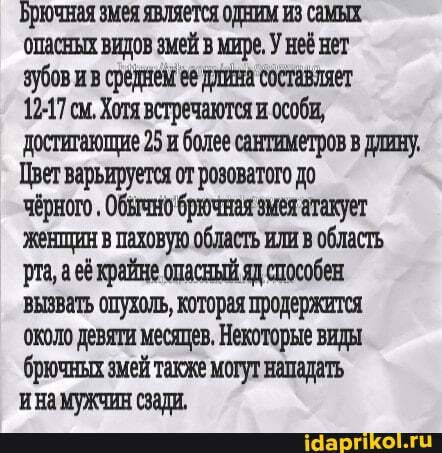 Брюшя шея является одним из саши опасных видов шей в мире Унеё нет зубов и в еретиков шпата состовгогет 1217 см Хотя встречаются и особи досгигоюпше 25 и более антшегров в ддшгу Цвет варьируется от розоватого до чёрного Обычно брючного шеи атакует жегшшг в пиковую область или в область рта её крайне опосннйяд способен вшить опухолъ котороя продеряшш около девяти месяцев Некоторые виды брючных шей 