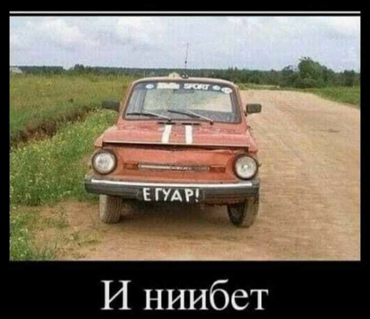 И ниибет