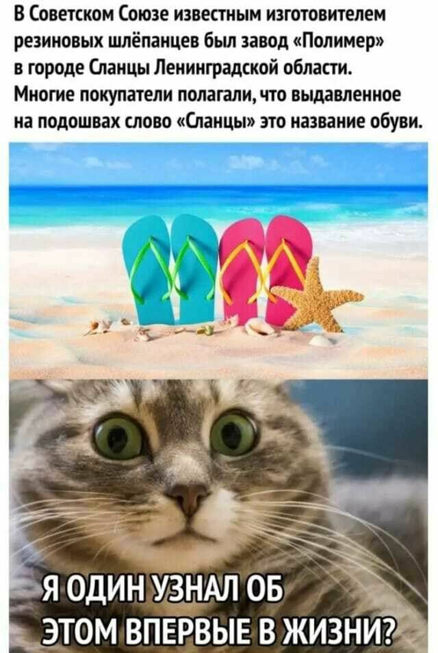 В Советском Союзе известным изготовителем резиновых шлёпанцев бьш завод Полимер в городе Сланцы Ленинградпкой области Многие покупатели полагали что выдавленное на подошвах слово Сланцы это название обуви _ ЭТОМ ВПЕРВЫЕ В ЖИЗНИ