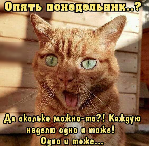 Фсйопьйо моио то Каждую иезелю оуио ц тое Одно и ттоЖе