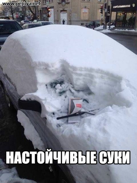 НАВТВИЧИВЫЮШШ