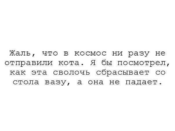Жаль ЧТО В КОСМОС НИ разу не отправили кота Я бы посмотрел как эта СВОЛОЧЬ сбрасывает СО стола вазу а она не падает