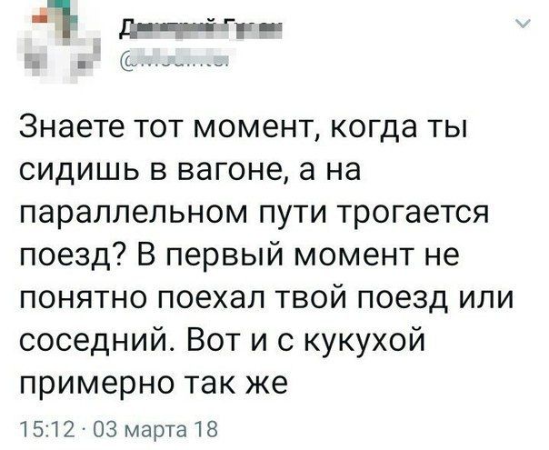 1 д _йгк Знаете тот момент когда ты сидишь в вагоне а на параллельном пути трогается поезд В первый момент не понятно поехал твой поезд или соседний Вот и с кукухой примерно так же 1512 03 марта 18
