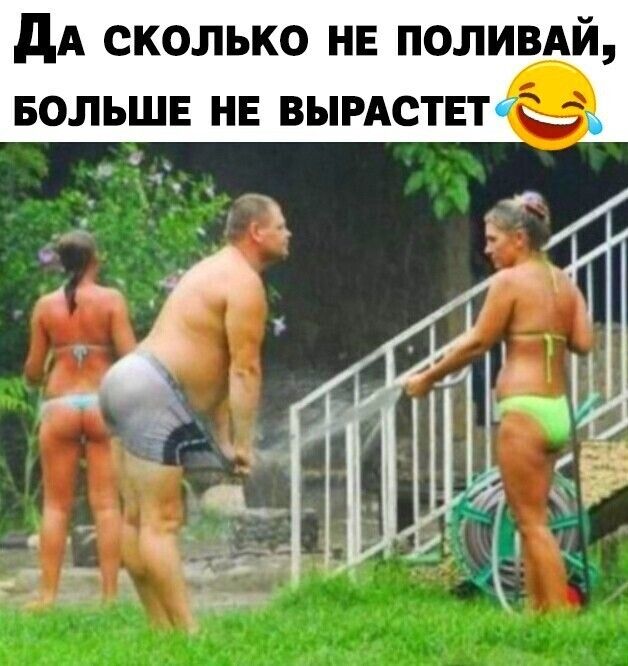 дА сколько НЕ поливдй БОЛЬШЕ нв вымствт _ Т П ___