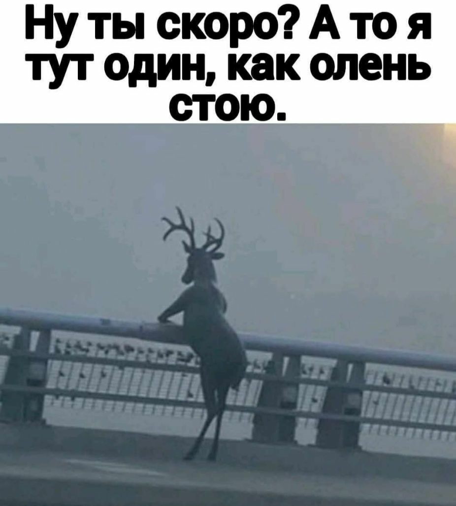 Ну ты скоро А то я тут один как олень СТОЮ