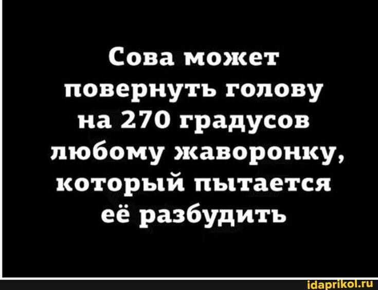 Сова может повернуть голову на 270 градусов любому жаворонку который пытается её разбудить Шарп о