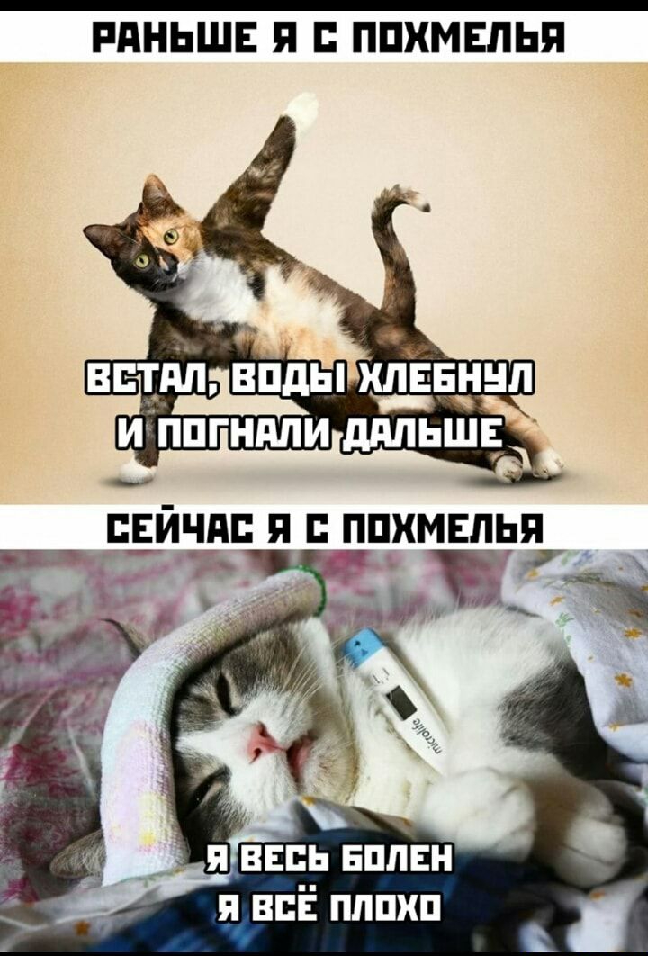 РАНЬШЕ П ППХМЕПЬП