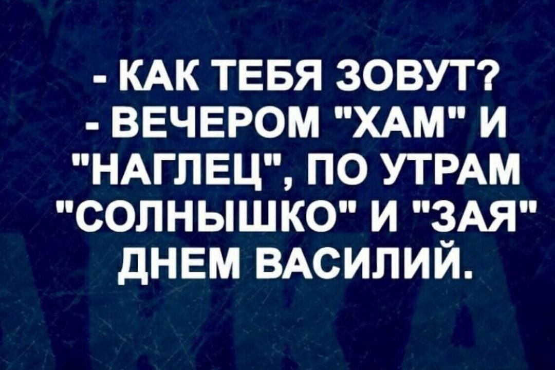 КАК ТЕБЯ ЗОВУТ ВЕЧЕРОМ ХАМ И НАГЛЕЦ ПО УТРАМ СОЛНЫШКО И ЗАЯ ДНЕМ ВАСИЛИЙ