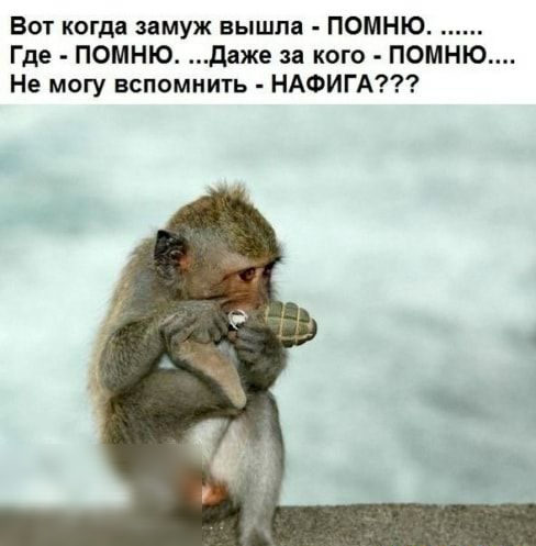 Вот когда замуж вышла ПОМНЮ Где ПОМНЮ даже за кого помню Не могу вспомнить НАФИГА