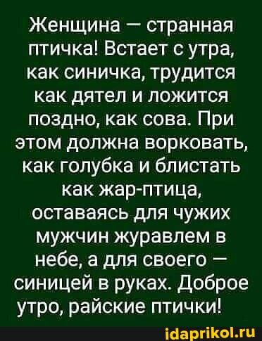 Женщина странная птичка Встает с утра как синичка трудится как дятел и ложится поздно как сова При этом должна ворковать как голубка и блистать как жар птица оставаясь для чужих мужчин журавпем в небе а для своего синицей в руках Доброе утро райские птички варгіКоіхц
