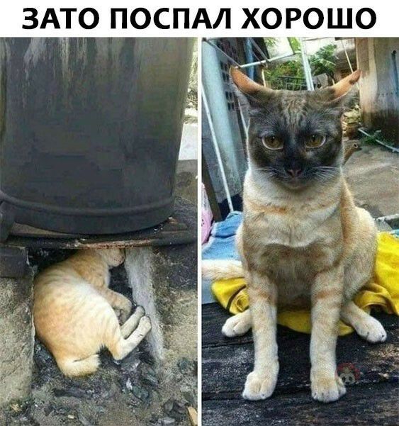 ЗАТО ПОСПАЛ ХОРОШО