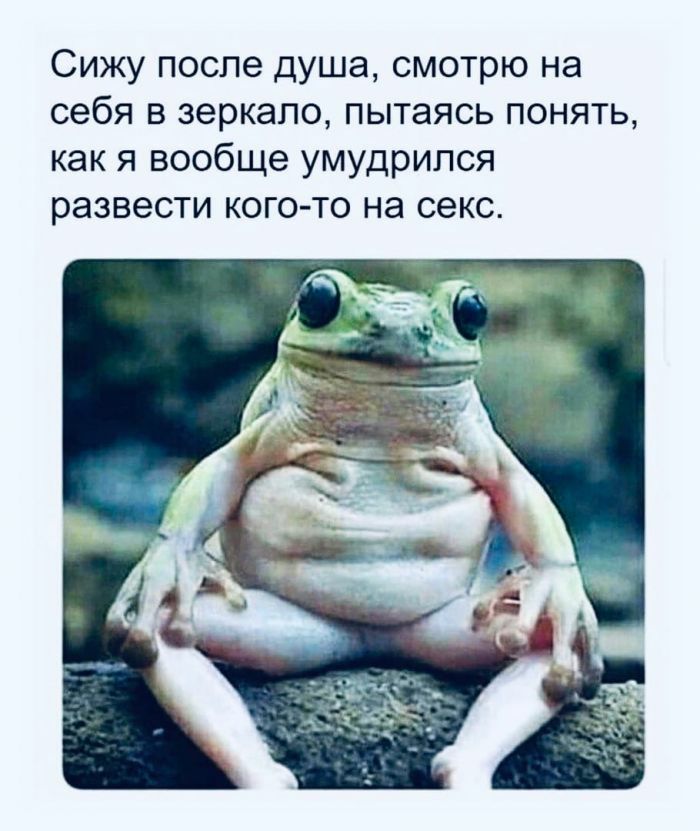 Сижу после душа смотрю на себя в зеркало пытаясь понять как я вообще умудрился развести кого то на секс