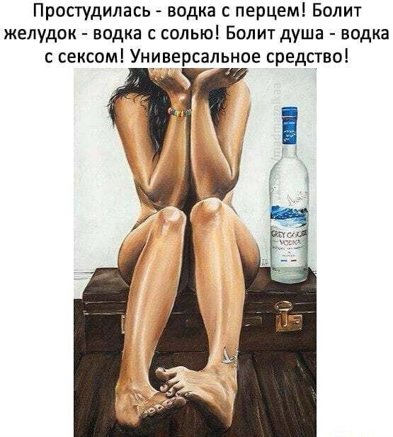 Простудилась водка с перцем Болит желудок водка с солью Болит душа водка с сексом Универсарьное средство