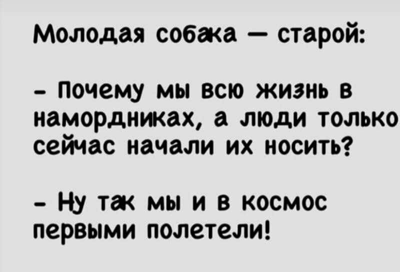 Молодая собака старой Почему мы всю жизнь в намордниках а люди только сейчас начали их носить Ну так мы и в космос первыми полетели