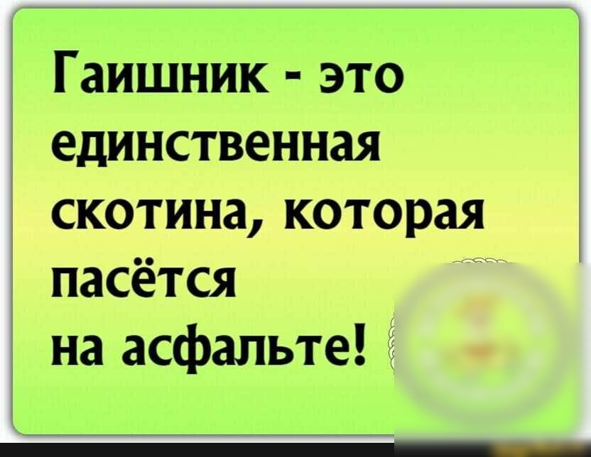 Гаишник это единственная скотина которая пасётся 3 на асфальте