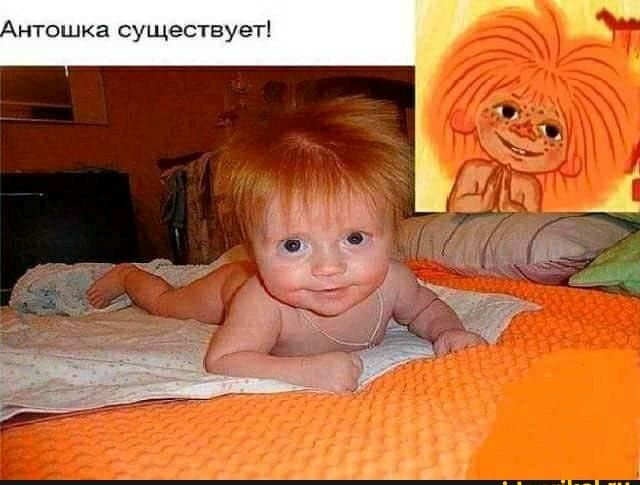 нтошка существует