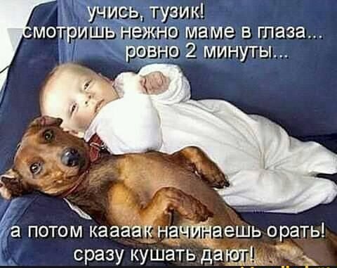 учщіь гузик Щвшежно маме в глаза 159319 2 минуты а потом жажда сразу кушать аешь орать
