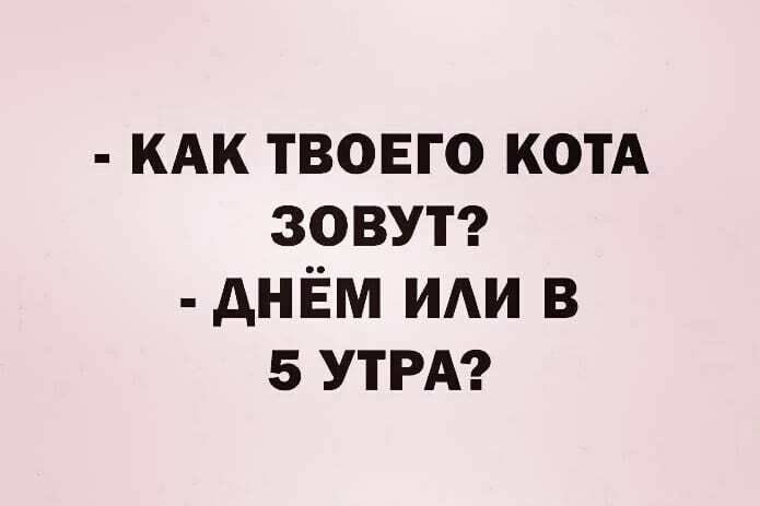 кдк твовго котА зовут днём иди в 5 УТРА