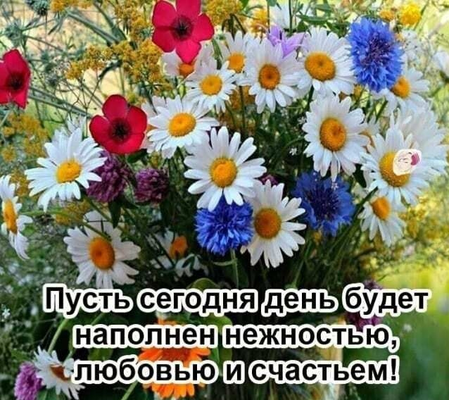 сегодня юлюбовью Ш счастьем