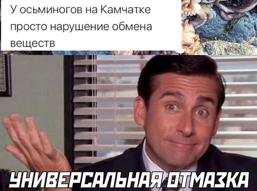 У осьминогов на Камчатке просто нарушение обмена веществ А нтвгппдльнёптмдзкд