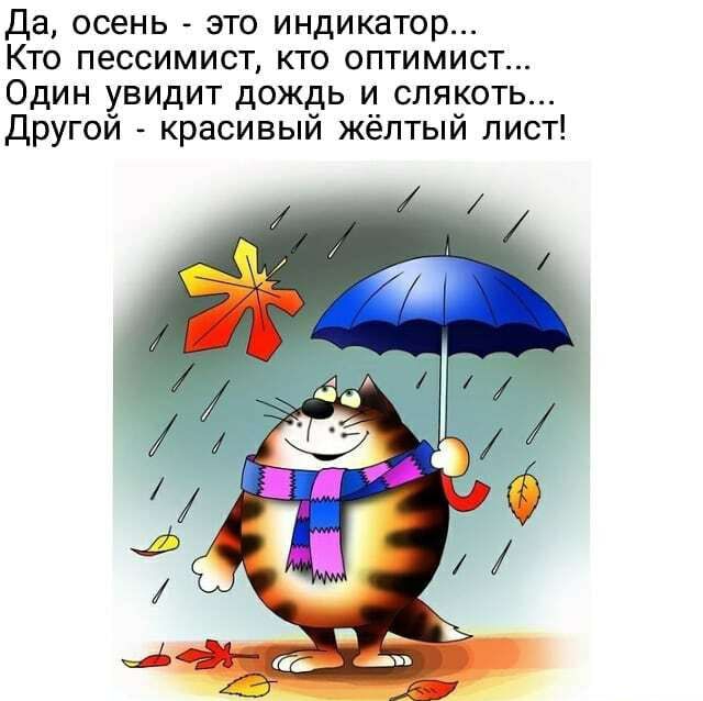 Да осень это индикатор Кто пессимист кто оптимист Один увидит дождь и слякоть Другой красивый жёлтый лист