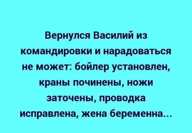 Вернулся Василий из командировки и нарадоваться не может бойлер установлен краны починены ножи заточены проводка исправлена жена беременна