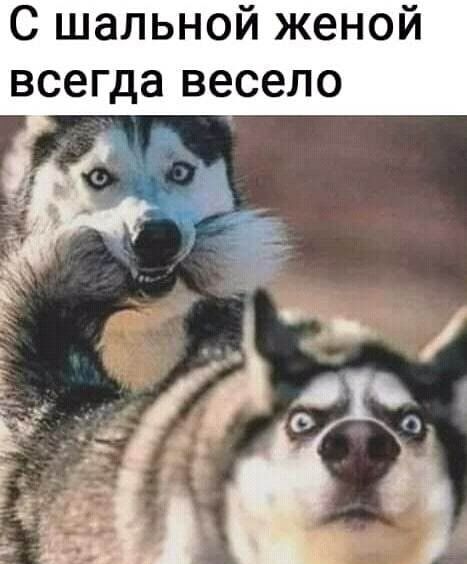С шальной женой всегда весело