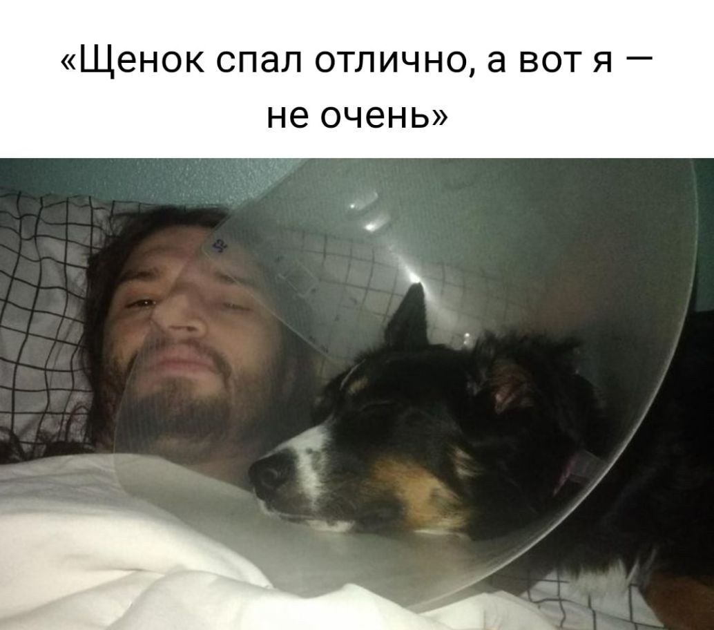 Щенок спал отлично а вот я не очень