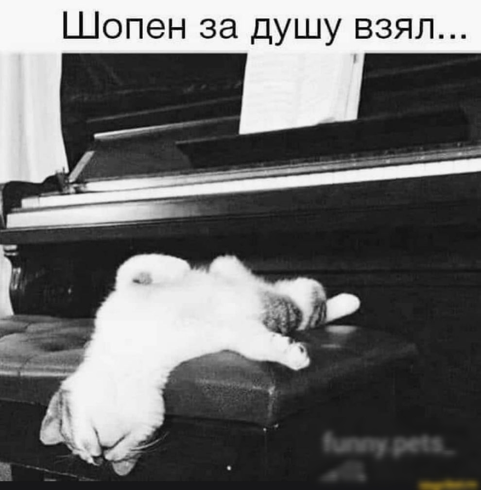 Шопен за душу взял