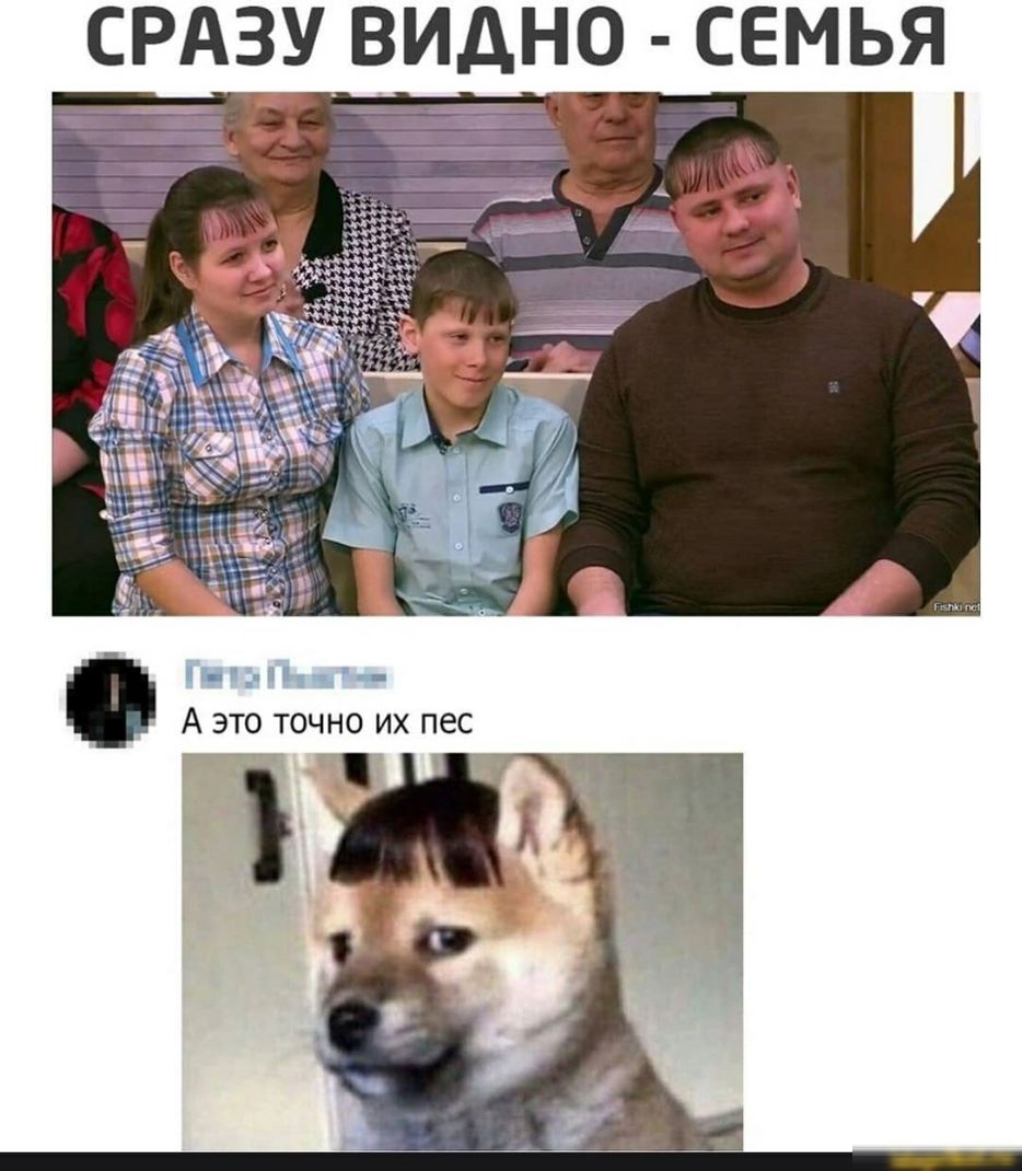 СРАЗУ ВИДНО СЕМЬЯ ы _
